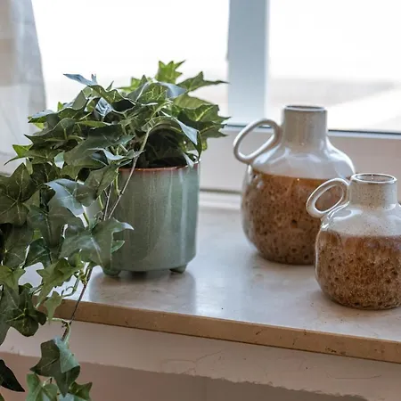 Appartement Cosy Studio With Front Sea View